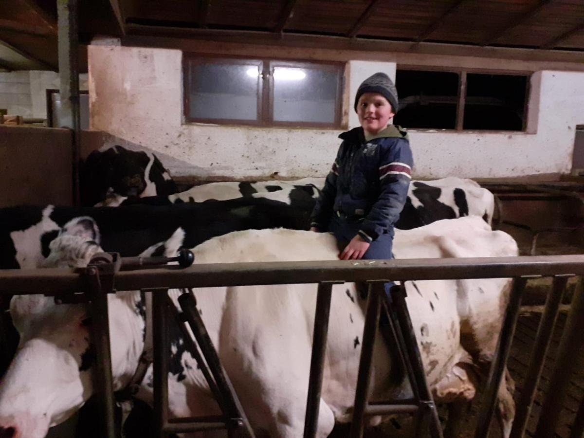 Schweiggerhof -Agriturismo- Farm Holidays فيلاندرو المظهر الخارجي الصورة
