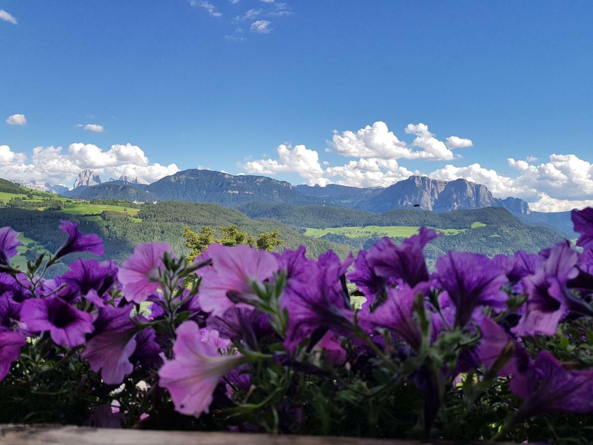 Schweiggerhof -Agriturismo- Farm Holidays فيلاندرو المظهر الخارجي الصورة